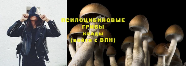 наркотики Дмитриев