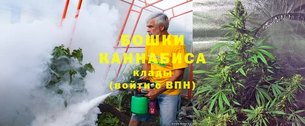 бошки Ельня