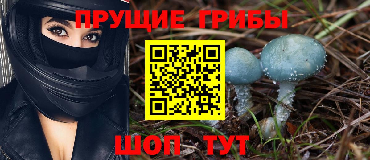 Псилоцибиновые грибы Cubensis  Вход с VPN  Арзамас 